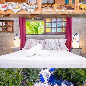Morro Das Palmeiras Inn